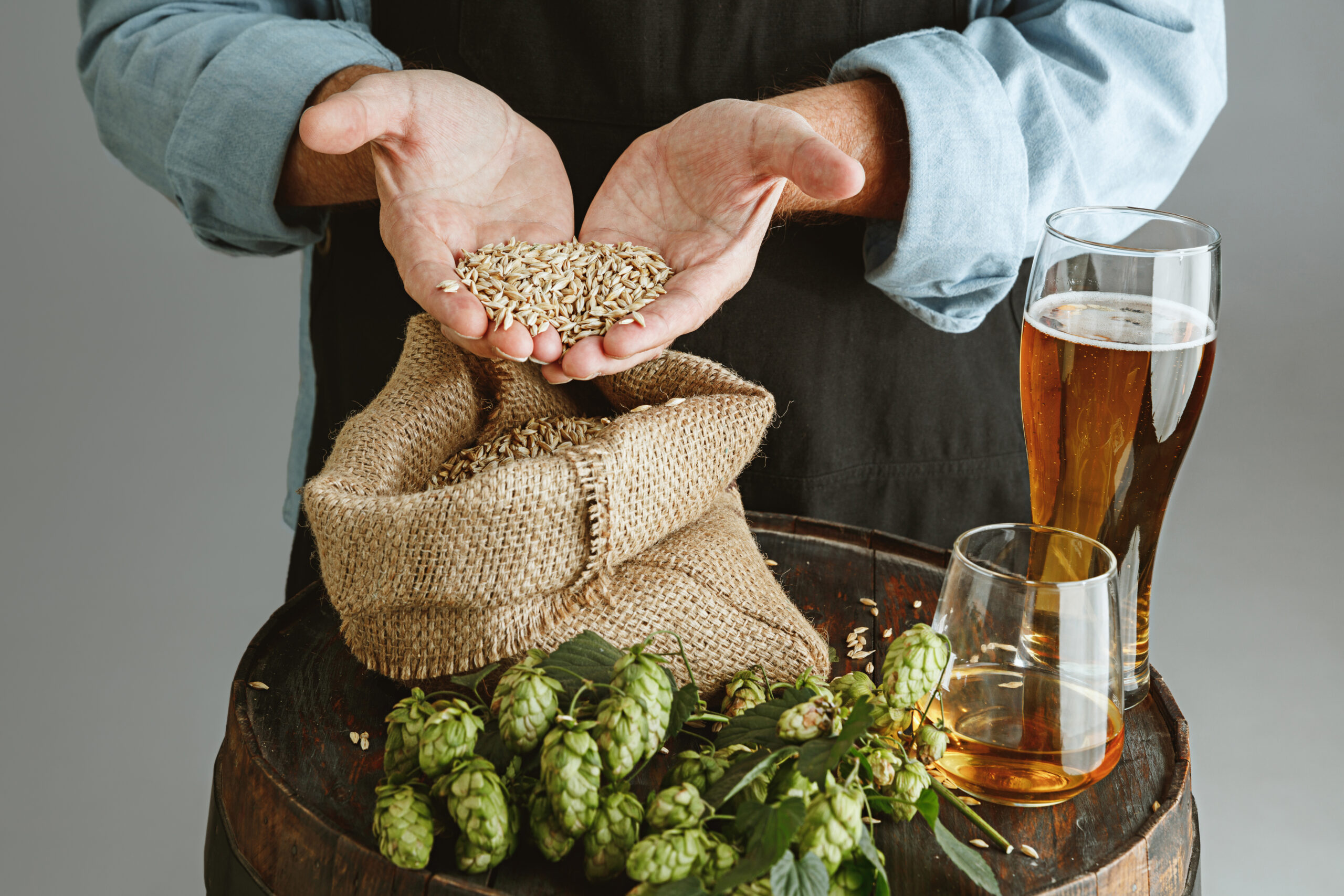 beer hops grain